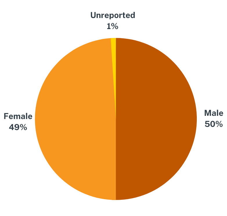 a pie chart showing the BBA gender profile