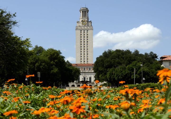 Flowers in front of University of Texas tower