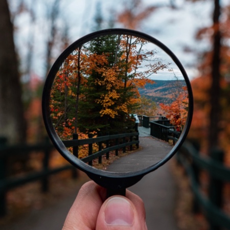 Hand holding up magnifying glass with trees in the background.