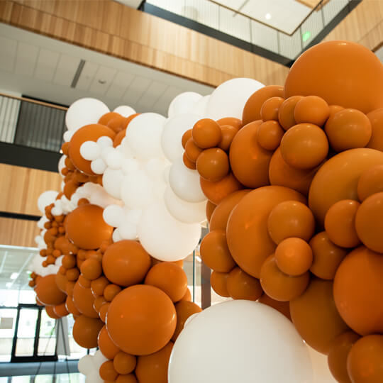Orange and white balloons at commencement